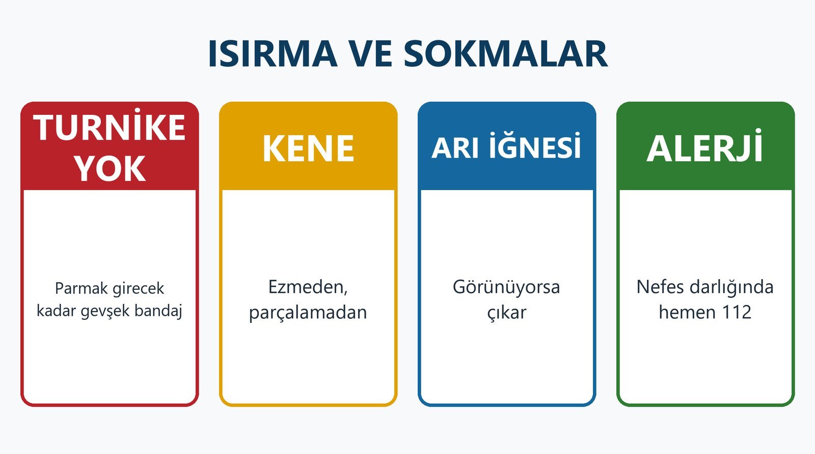 Isırma ve sokmalar: turnike yok, kene, arı iğnesi, alerji